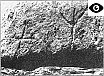 Abb. 9.  Kultsymbolische Zeichen oberhalb der Ritterstiege