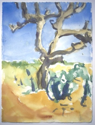 Cropped Tree Rajastan,
20"x24", Watercolour
SOLD