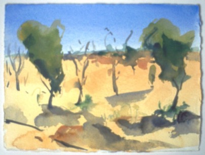Trees Rajastan,
6"x5", Watercolour
SOLD
