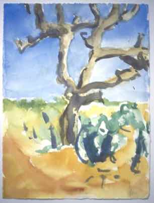 Cropped Tree Rajastan,
20"x24", Watercolour
SOLD Cropped Tree Rajastan,
20"x24", Watercolour
SOLD
