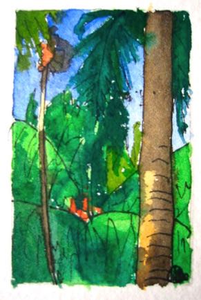 Jungle,
2"x3", Watercolour
SOLD Jungle,
2"x3", Watercolour
SOLD