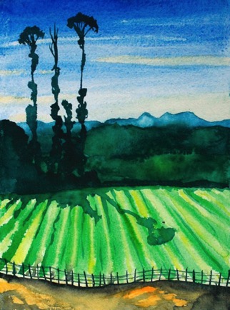 Field in the Western Ghats, 11½”x16½”, Watercolour
SOLD
