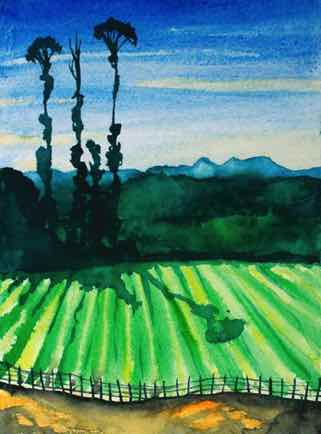 Field in the Western Ghats, 11½”x16½”, Watercolour
SOLD Field in the Western Ghats, 11½”x16½”, Watercolour
SOLD