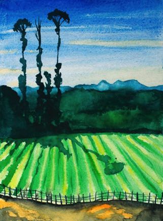 Field in the Western Ghats, 11½”x16½”, Watercolour
SOLD Field in the Western Ghats, 11½”x16½”, Watercolour
SOLD
