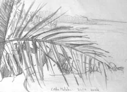 Palm Leaf, 5½"x4", Graphite Palm Leaf, 5½"x4", Graphite