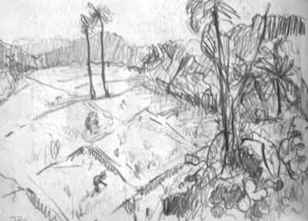 Paddy Fields Kerala, 5½"x4", Graphite Paddy Fields Kerala, 5½"x4", Graphite