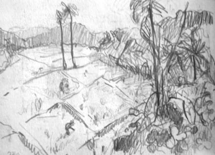 Paddy Fields Kerala, 5½"x4", Graphite Paddy Fields Kerala, 5½"x4", Graphite