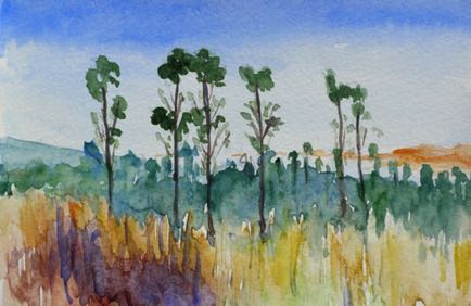 Abandoned Farm
5”x3” Watercolour
SOLD Abandoned Farm
5”x3” Watercolour
SOLD