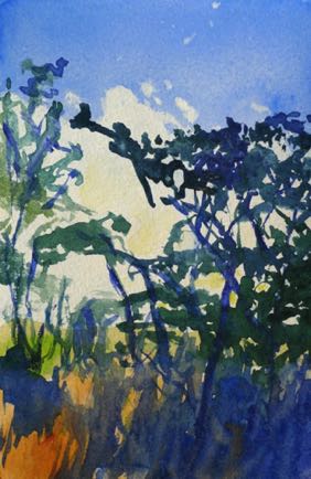 Abandoned Farm
3”x5” Watercolour
SOLD Abandoned Farm
3”x5” Watercolour
SOLD