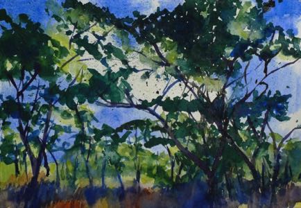 Abandoned Farm
11”x8” Watercolour
SOLD Abandoned Farm
11”x8” Watercolour
SOLD