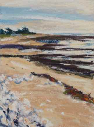“Rock pools and beech,
le Côte Sauvage”,
pastel on paper, 31cm x 23cm “Rock pools and beech,
le Côte Sauvage”,
pastel on paper, 31cm x 23cm