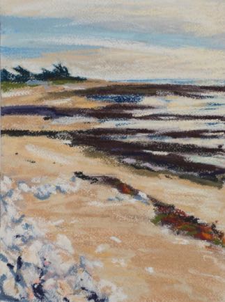 “Rock pools and beech, 
le Côte Sauvage”, 
pastel on paper, 31cm x 23cm
