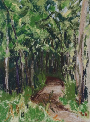 Ruffec, Forest
19.5 x 28.5 cm, Pastel on Paper