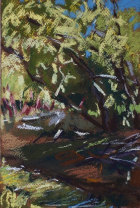 Lion River
19.5 x 28.5cm, Pastel on Paper