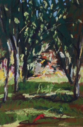 Trees near the Chateaux, Ruffec
19.5 x 28.5cm, Pastel on Paper