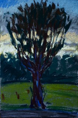 Pollarded Tree, Ruffec
19.5 x 28.5 cm, Pastel on Paper Pollarded Tree, Ruffec
19.5 x 28.5 cm, Pastel on Paper