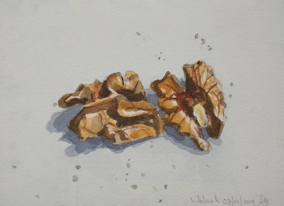 Walnut
14 x 19 cm, Watercolour