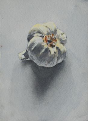 Garlic
14 x 19 cm, Watercolour Garlic
14 x 19 cm, Watercolour