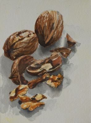 Walnut
14 x 19 cm, Watercolour Walnut
14 x 19 cm, Watercolour