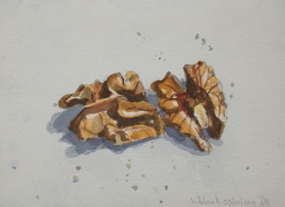 Walnut
14 x 19 cm, Watercolour Walnut
14 x 19 cm, Watercolour