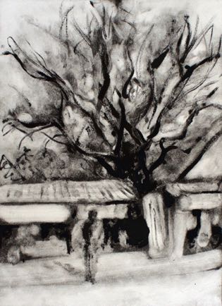 Tree growing though a shack,
 7"x 9 1/2", Mono-Print