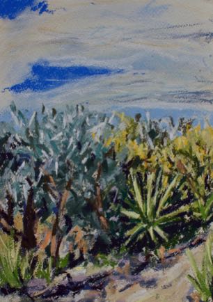 Spiny forest, Anakao
29cm x 21cm, Chalk Pastel on Paper