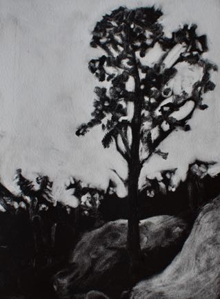 Tree on the edge of the rainforest 
7"x 9 1/2", Mono-Print