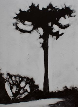Famata tree
 7"x 9 1/2", Mono-Print