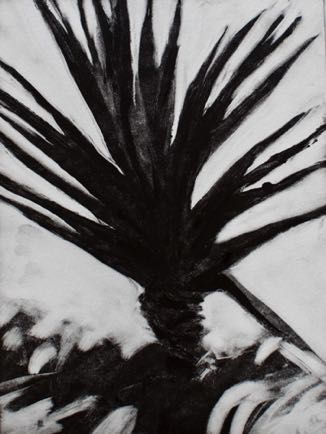 Agava Plant
 7"x 9 1/2", Mono-Print