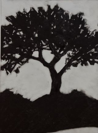 AcasiaTree
 7"x 9 1/2", Mono-Print