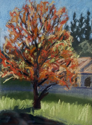 Orange buds
Lamalou-les-Bains, Languedoc
Pastel on Paper, 2023, 23cm x 31cm Orange buds
Lamalou-les-Bains, Languedoc
Pastel on Paper, 2023, 23cm x 31cm