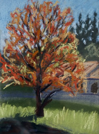 Orange buds
Lamalou-les-Bains, Languedoc
Pastel on Paper, 2023, 23cm x 31cm