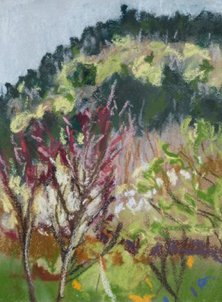 Buddling forest, Languedoc
Pastel on Paper, 2023, 23cm x 31cm
