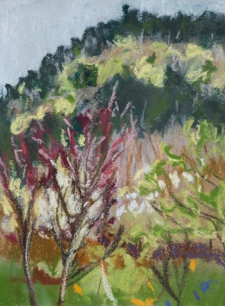 Buddling forest, Languedoc
Pastel on Paper, 2023, 23cm x 31cm Buddling forest, Languedoc
Pastel on Paper, 2023, 23cm x 31cm