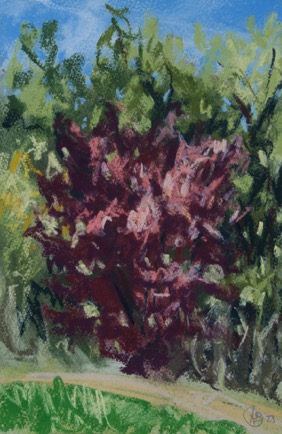 Red tree,
Pastel on Paper, 2023, 20cm x 31cm