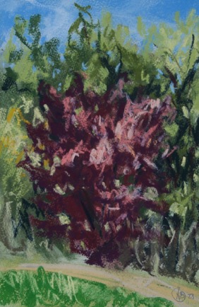 Red tree,
Pastel on Paper, 2023, 20cm x 31cm Red tree,
Pastel on Paper, 2023, 20cm x 31cm