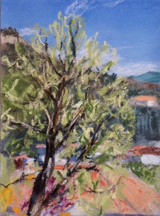 Budding tree,
Lamalou-les-Bains, Languedoc
Pastel on Paper, 2023, 23cm x 31cm