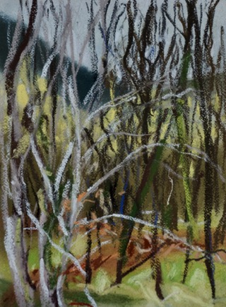 Buddling forest, Languedoc
Pastel on Paper, 2023, 23cm x 31cm