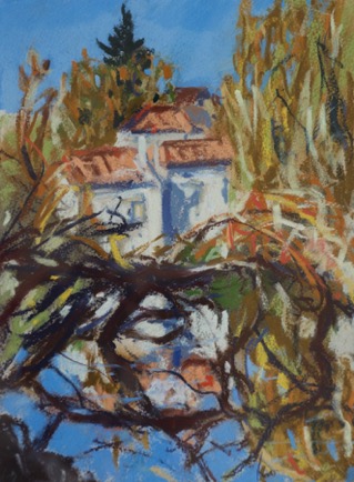 Willow fallen in the moat, 
Ruffec, Charente 
Pastel on Paper, 2023, 23cm x 31cm