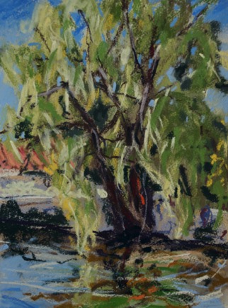 Old willow over the moat,
Ruffec, Charente 
Pastel on Paper, 2022, 23cm x 31cm