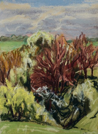 Trees coming into bud 
Biosac, Charente 
Pastel on Paper, 2022, 23cm x 31cm