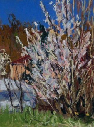 Old caravan and Blossom,
Ruffec, Charente 
Pastel on Paper, 2022, 23cm x 31cm