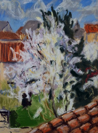Blossom and roofs, 
Ruffec, Charente 
Pastel on Paper, 2022, 23cm x 31cm