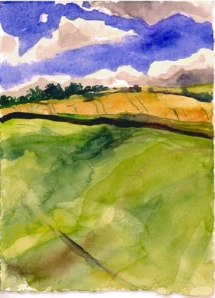 Fields Near Stow Gallashields 5, 5"x6", Watercolour