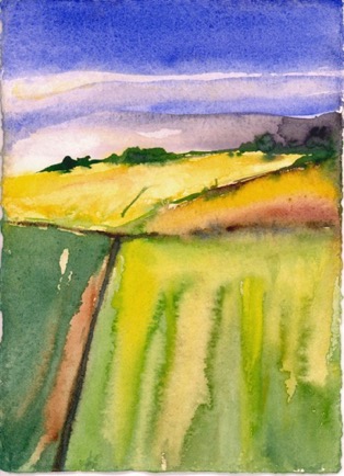 Fields Near Stow Gallashields 4, 5"x6", Watercolour