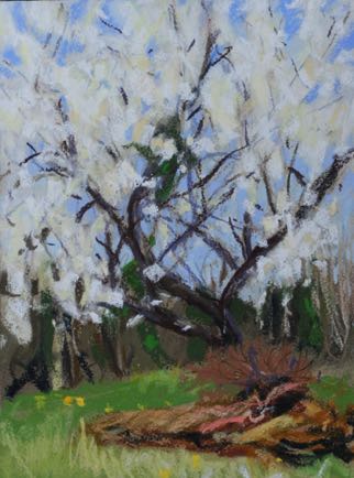 Blossom by the Labyrinth
23cm x 31cm, Pastel on Paper Blossom by the Labyrinth
23cm x 31cm, Pastel on Paper