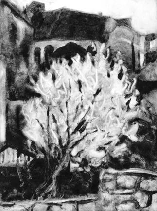 Blossom behind Rue S. André II
18cm x 24cm, Monoprint Blossom behind Rue S. André II
18cm x 24cm, Monoprint