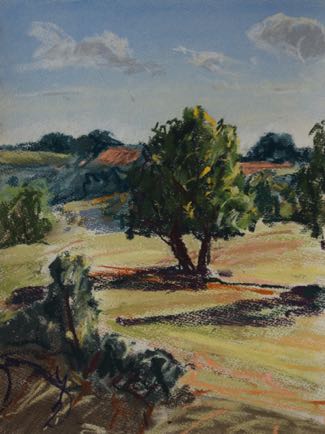 Early Autumn near Nantile,
 41cm x31cm, Pastel on Paper
