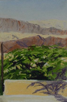 Tree in front of the Negev,
pastel on paper, 18cm x 28cm Tree in front of the Negev,
pastel on paper, 18cm x 28cm