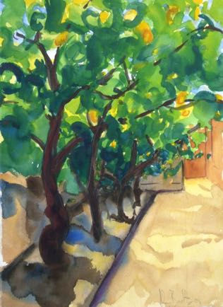 Lemon Trees, 
11"x15", Watercolour
SOLD
